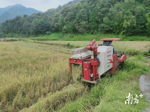 科技興農 新型農機設備助推翁源現代農業發展